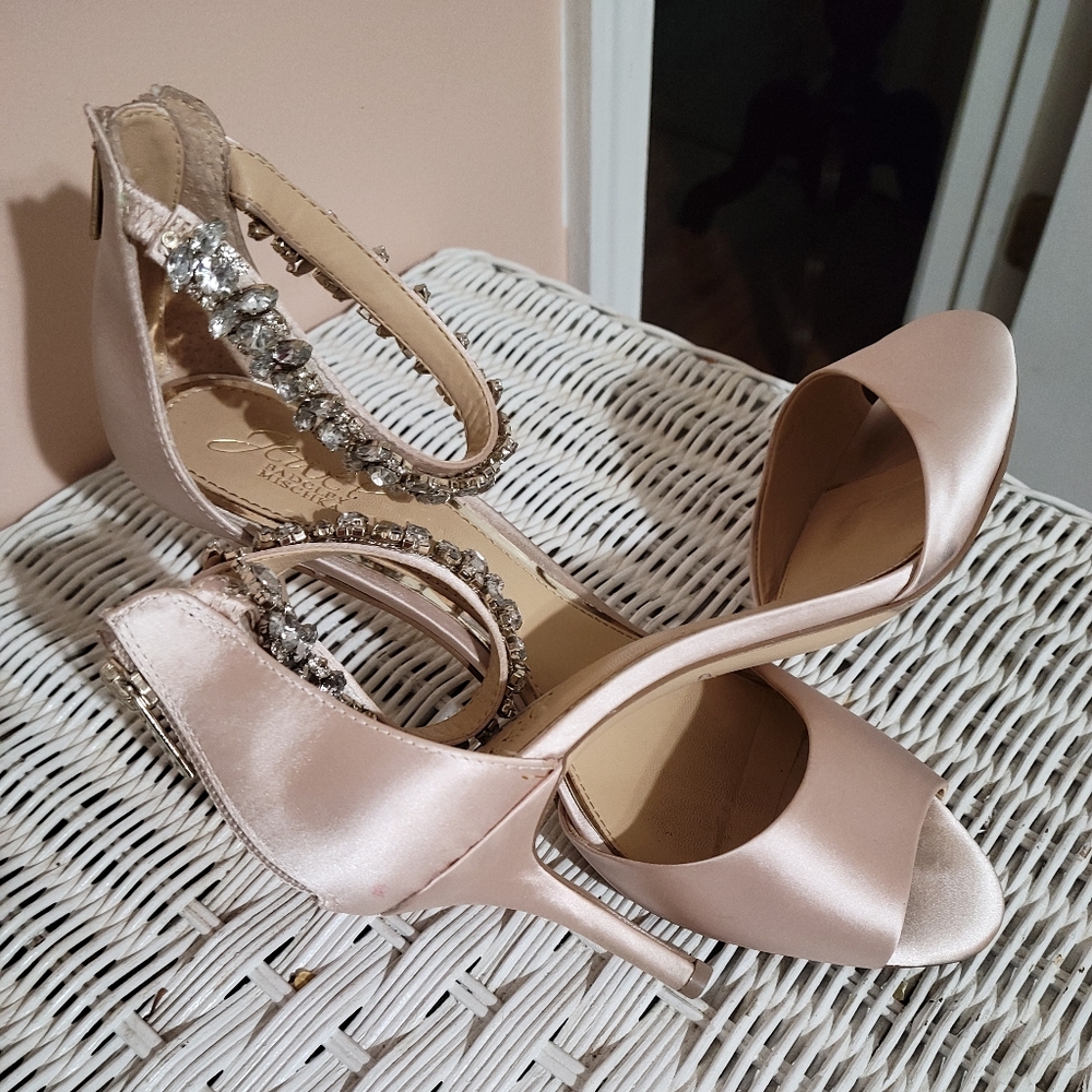 Badgley Mischka Pale Pink Shoes.